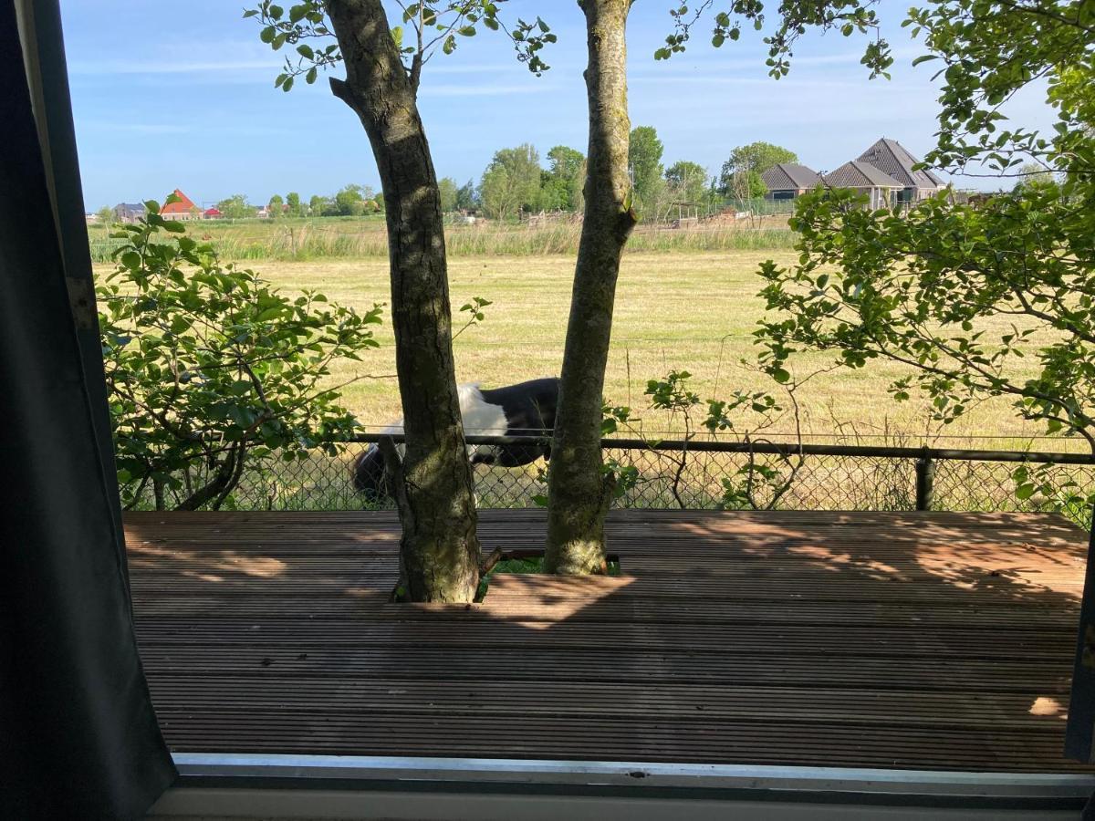 Het Oude Strandhuis Uitgeest Esterno foto